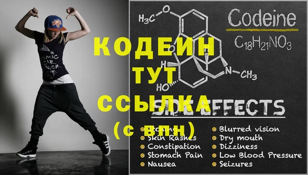 крисы Беломорск