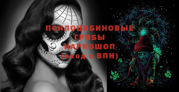 крисы Беломорск