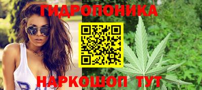 индика Балахна