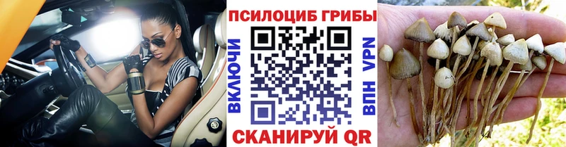 цены наркотик  KRAKEN маркетплейс  Псилоцибиновые грибы MAGIC MUSHROOMS  Воскресенск 