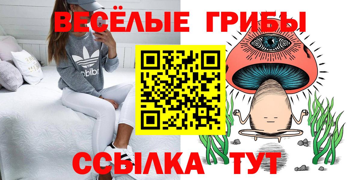 Псилоцибиновые грибы GOLDEN TEACHER Воскресенск