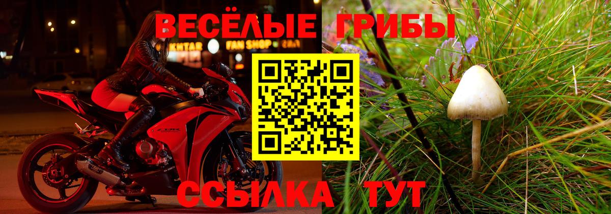 Псилоцибиновые грибы Magic Shrooms Воскресенск