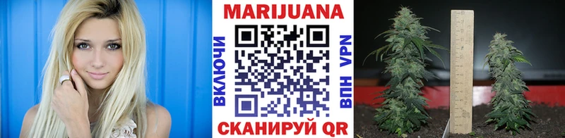 МАРИХУАНА сатива  Воскресенск 
